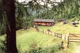 Alto Adige - passo Pennes - Malga 